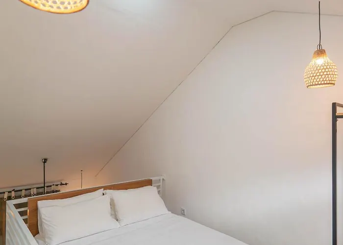 Hostel Elbe By Bali